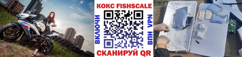 КОКАИН Fish Scale  Купить закладки  Камызяк 