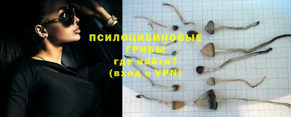 бошки Инсар