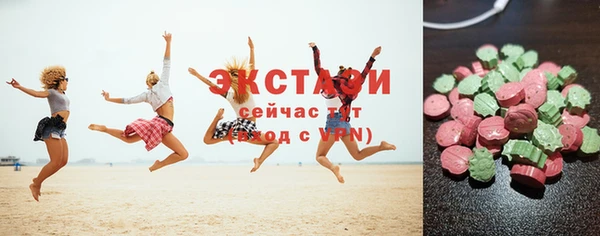 хмурый Инта
