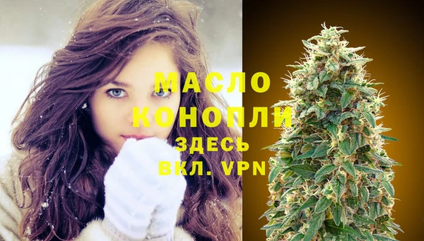 хмурый Инта