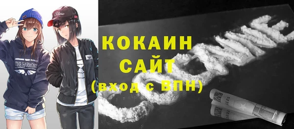 хмурый Инта