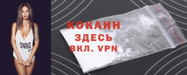 сатива Иннополис