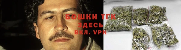 хмурый Инта