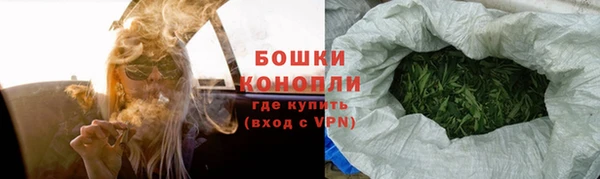 сатива Иннополис