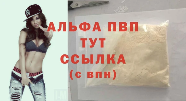 хмурый Инта