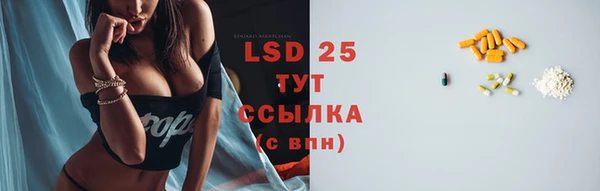 сатива Иннополис