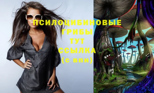 хмурый Инта