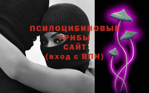 хмурый Инта