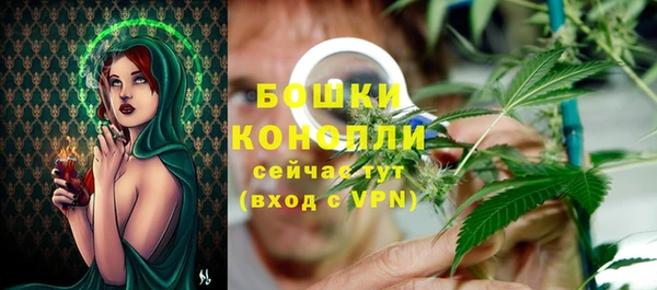 сатива Иннополис