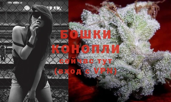 сатива Иннополис