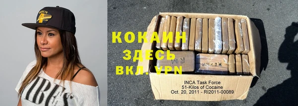 хмурый Инта