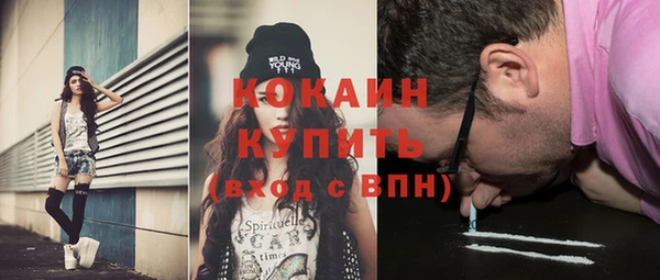 сатива Иннополис