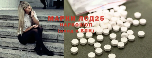 хмурый Инта